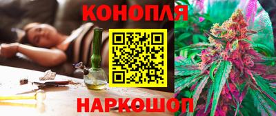 прущие крисы Малгобек