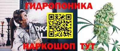 прущие крисы Малгобек