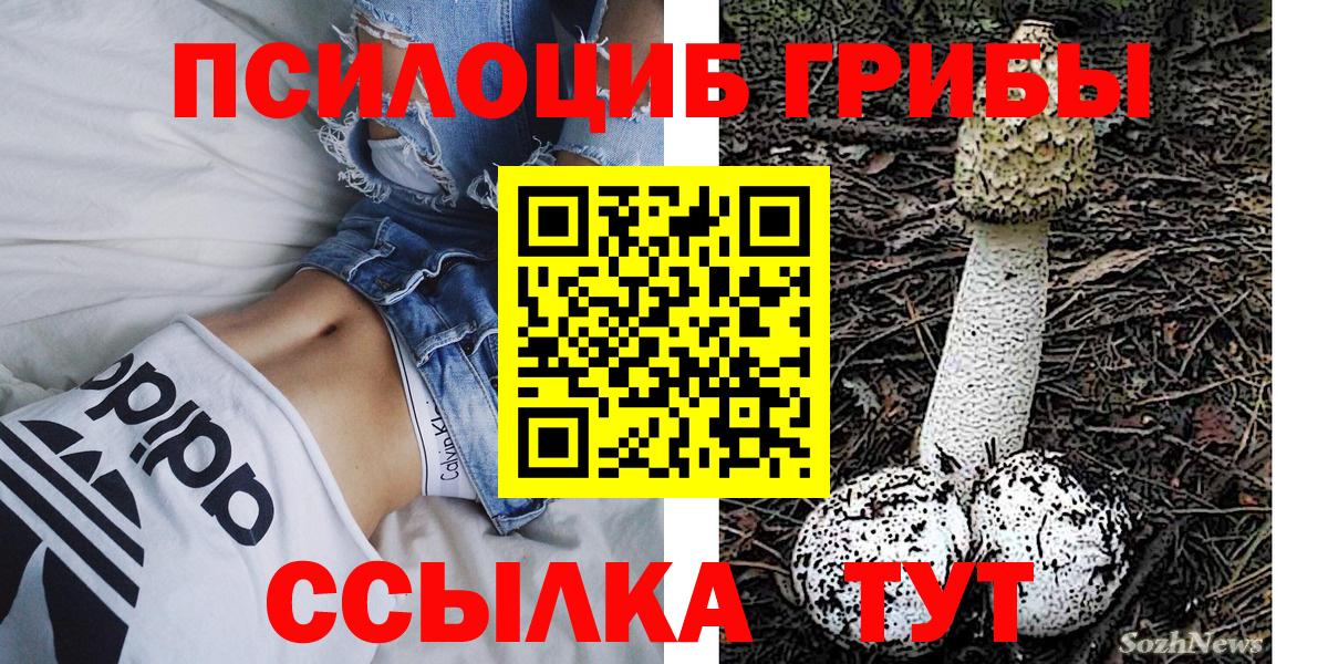 Верхняя Салда  Псилоцибиновые грибы MAGIC MUSHROOMS  Псилоцибиновые грибы MAGIC MUSHROOMS  Вход с VPN 