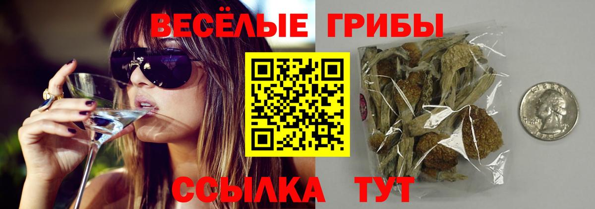 Галлюциногенные грибы Psilocybine cubensis Верхняя Салда